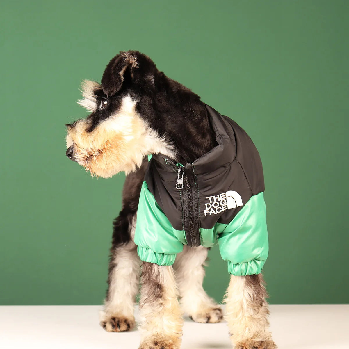 Cozy Puffer Dog Coat – Warm, Stylish Winter Jacket for Small to Large Breeds